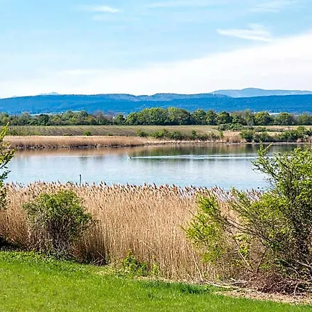 Verde 3*