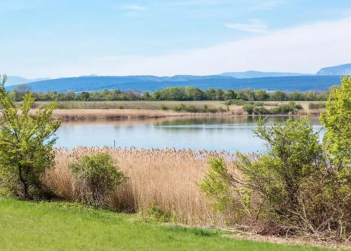 Verde Motel Schönau an der Triesting